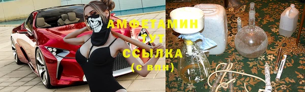 мдпв Богородск