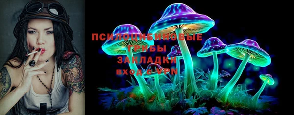 мдпв Богородск