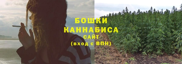 стафф Протвино