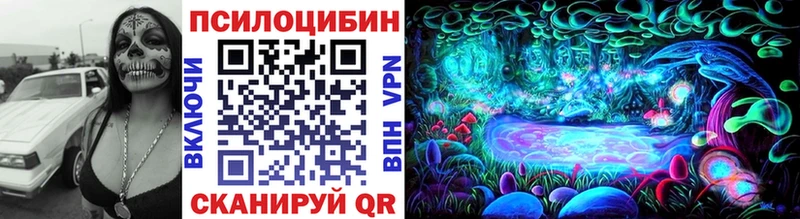 что такое наркотик  Нестеров  Псилоцибиновые грибы Psilocybe 